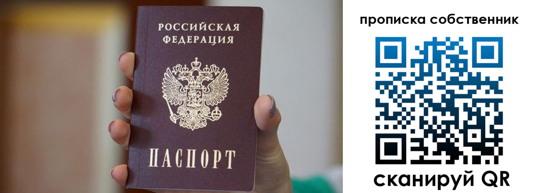 прописка поиск в Отрадном